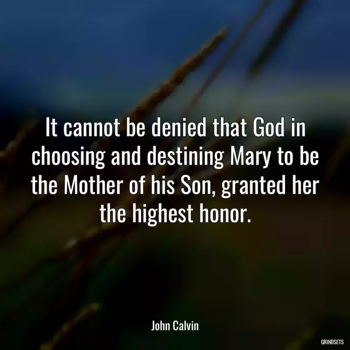 It cannot be denied that God in choosing and destining Mary to be the Mother of his Son, granted her the highest honor.