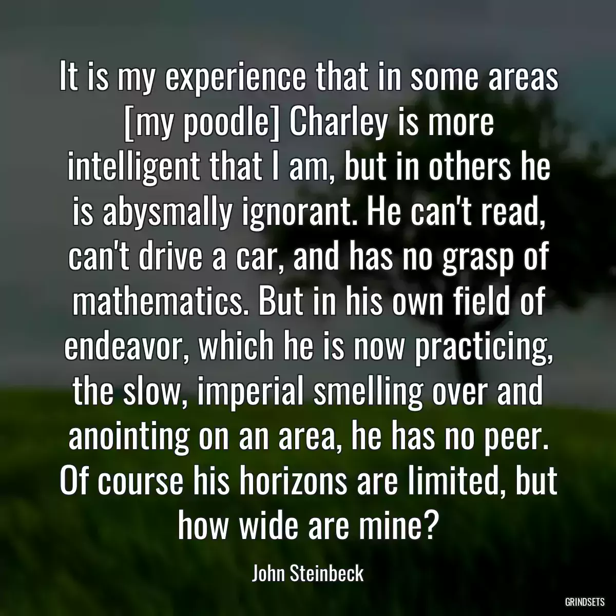 It is my experience that in some areas [my poodle] Charley is more intelligent that I am, but in others he is abysmally ignorant. He can\'t read, can\'t drive a car, and has no grasp of mathematics. But in his own field of endeavor, which he is now practicing, the slow, imperial smelling over and anointing on an area, he has no peer. Of course his horizons are limited, but how wide are mine?