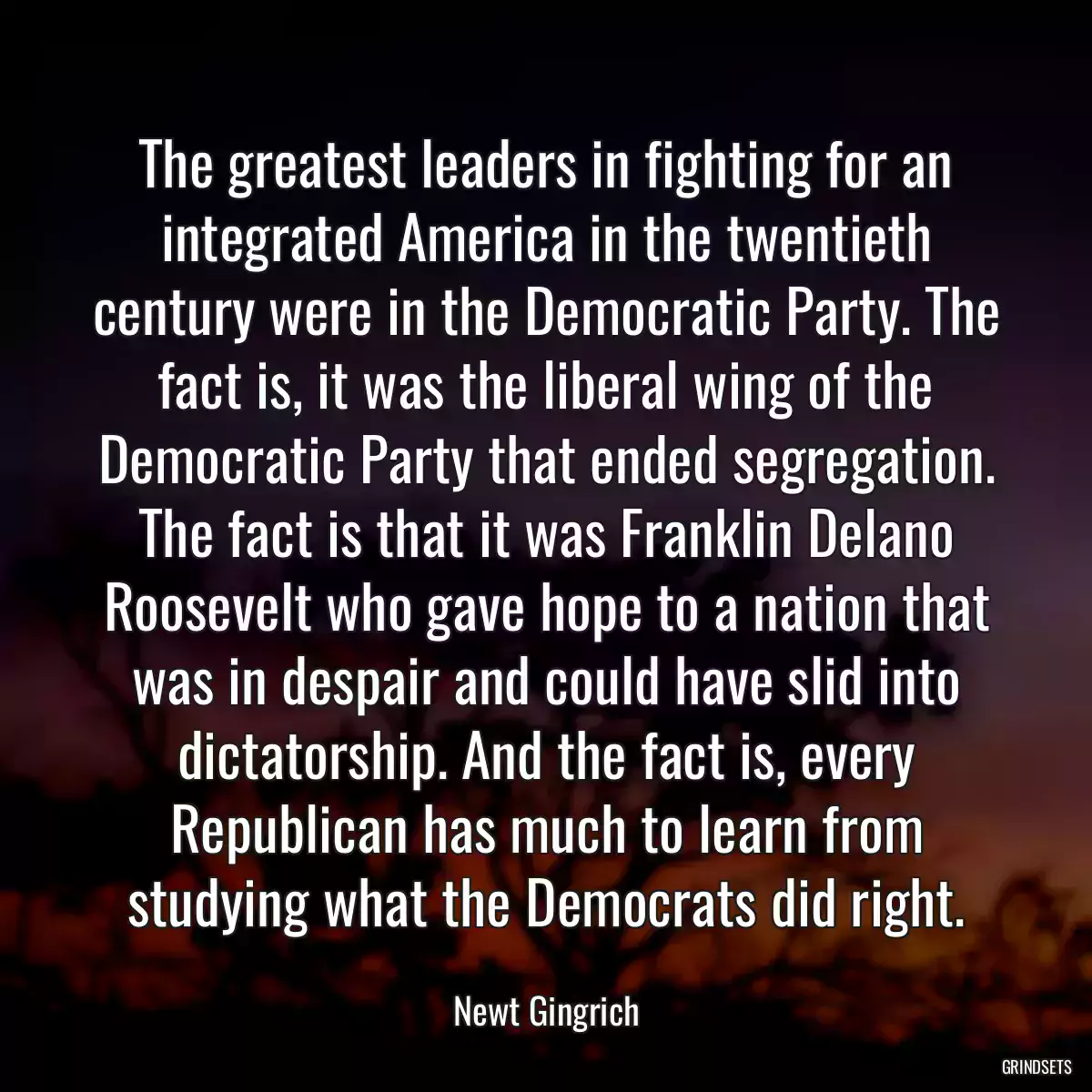 The greatest leaders in fighting for an integrated America in the twentieth century were in the Democratic Party. The fact is, it was the liberal wing of the Democratic Party that ended segregation. The fact is that it was Franklin Delano Roosevelt who gave hope to a nation that was in despair and could have slid into dictatorship. And the fact is, every Republican has much to learn from studying what the Democrats did right.