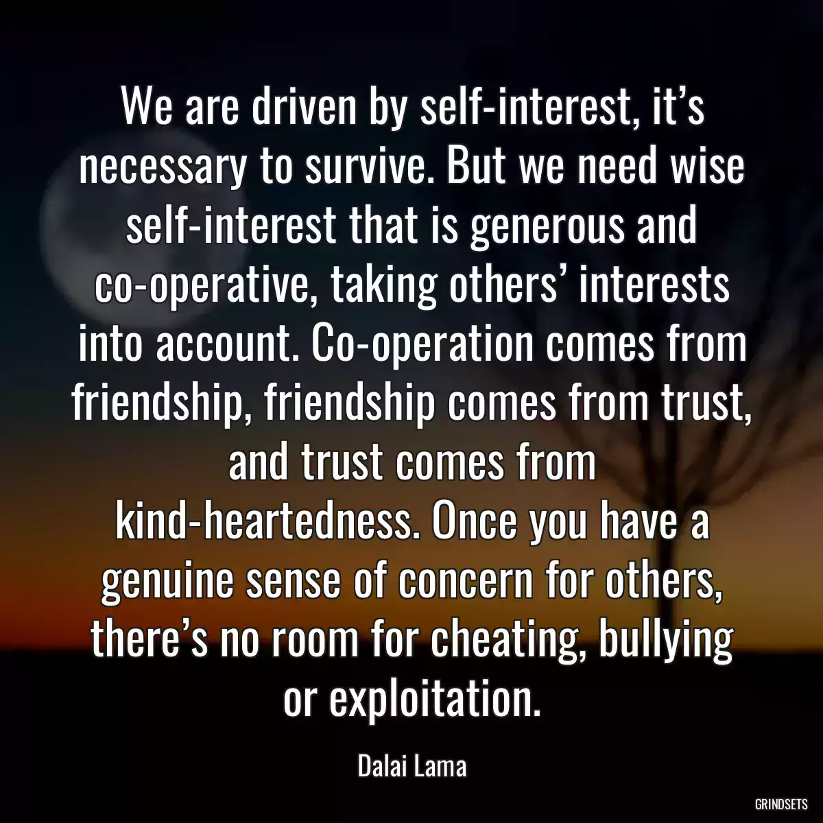 We are driven by self-interest, it’s necessary to survive. But we need wise self-interest that is generous and co-operative, taking others’ interests into account. Co-operation comes from friendship, friendship comes from trust, and trust comes from kind-heartedness. Once you have a genuine sense of concern for others, there’s no room for cheating, bullying or exploitation.