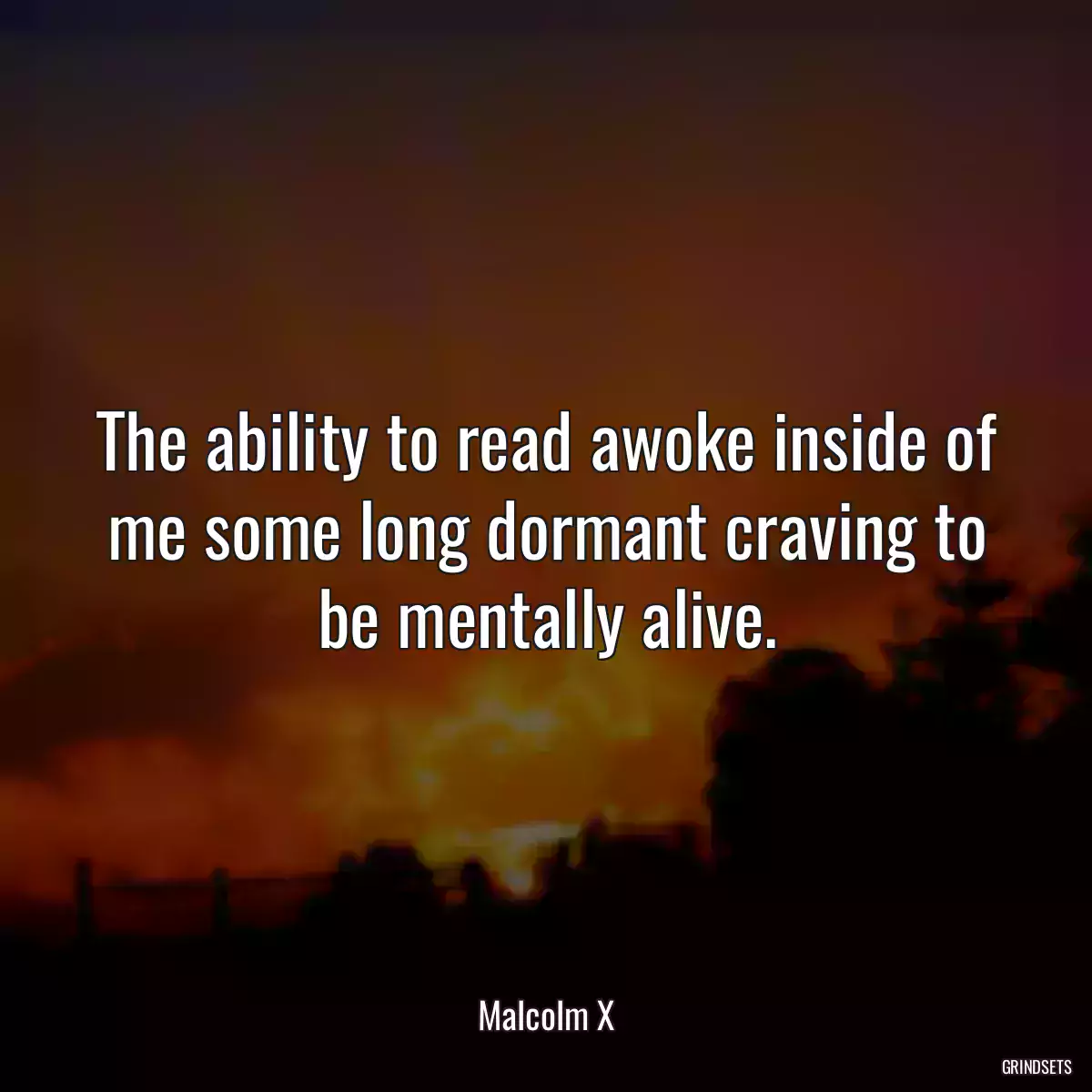 The ability to read awoke inside of me some long dormant craving to be mentally alive.