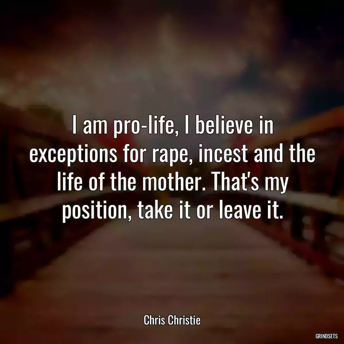 I am pro-life, I believe in exceptions for rape, incest and the life of the mother. That\'s my position, take it or leave it.