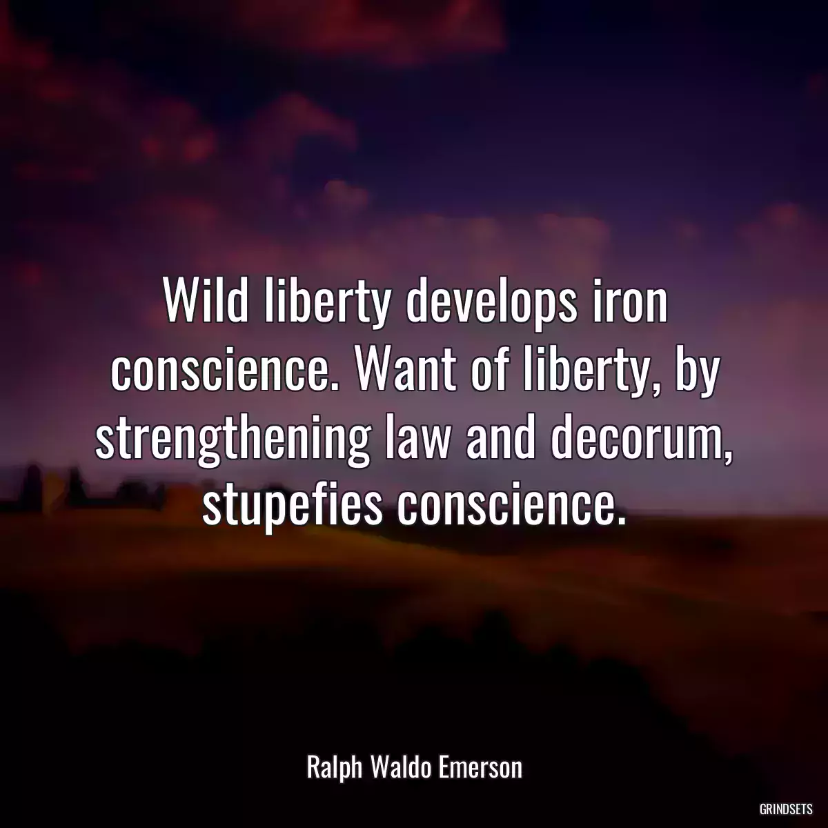 Wild liberty develops iron conscience. Want of liberty, by strengthening law and decorum, stupefies conscience.