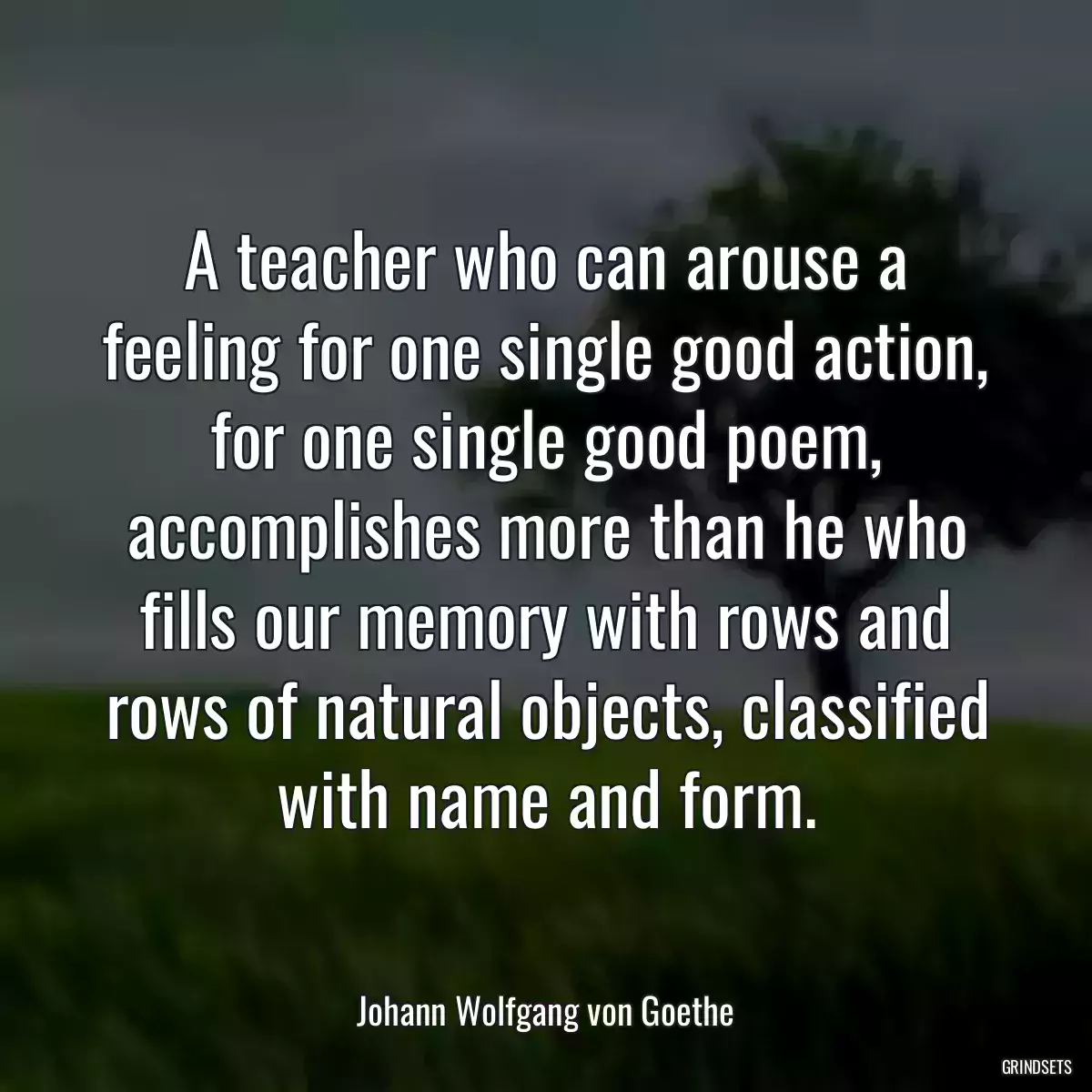 A teacher who can arouse a feeling for one single good action, for one single good poem, accomplishes more than he who fills our memory with rows and rows of natural objects, classified with name and form.
