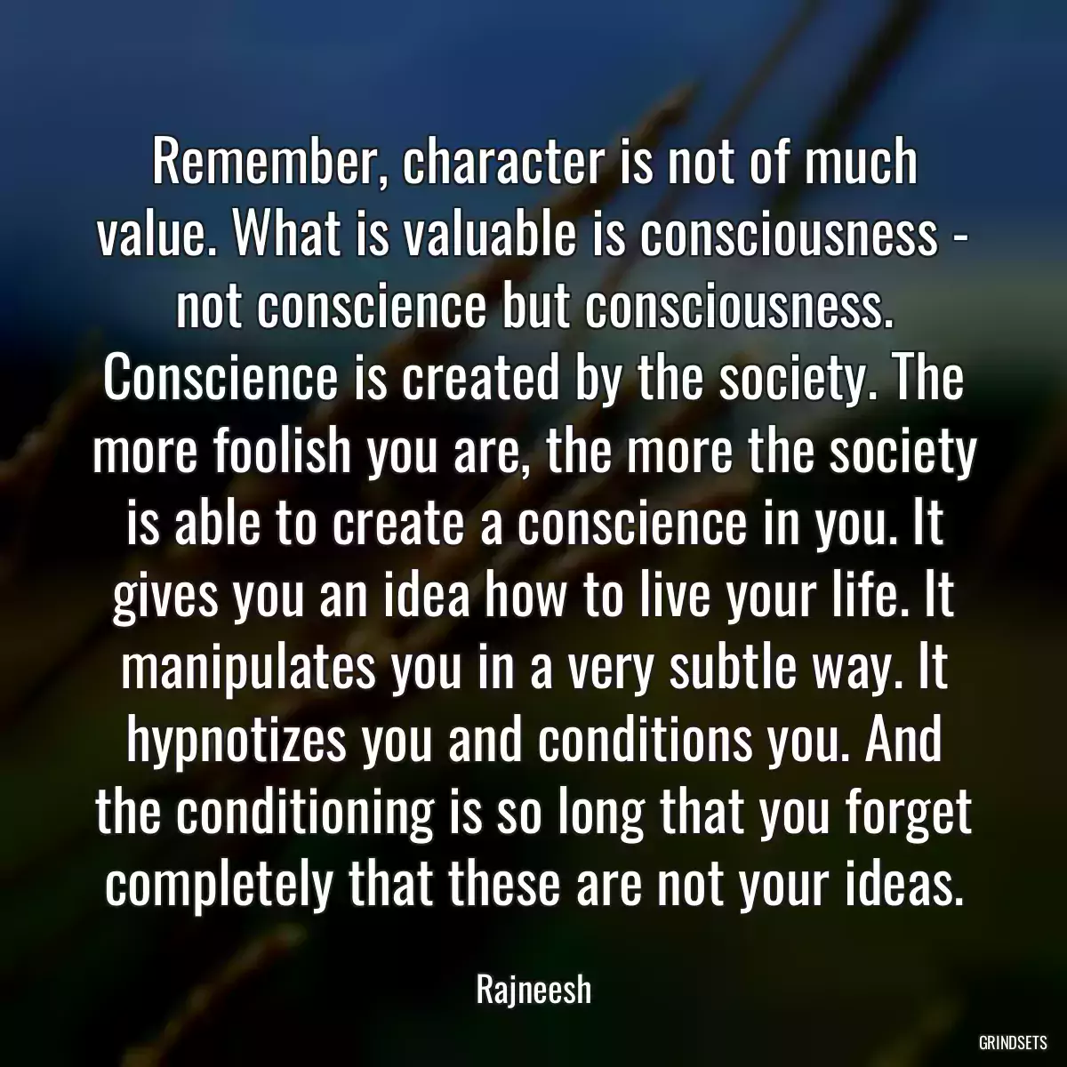 Remember, character is not of much value. What is valuable is consciousness - not conscience but consciousness. Conscience is created by the society. The more foolish you are, the more the society is able to create a conscience in you. It gives you an idea how to live your life. It manipulates you in a very subtle way. It hypnotizes you and conditions you. And the conditioning is so long that you forget completely that these are not your ideas.