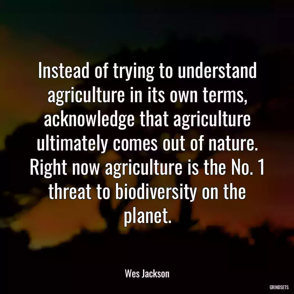 Instead of trying to understand agriculture in its own terms, acknowledge that agriculture ultimately comes out of nature. Right now agriculture is the No. 1 threat to biodiversity on the planet.