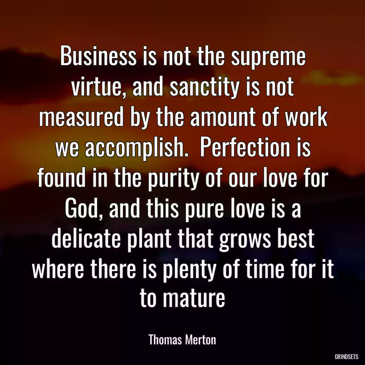 Business is not the supreme virtue, and sanctity is not measured by the amount of work we accomplish.  Perfection is found in the purity of our love for God, and this pure love is a delicate plant that grows best where there is plenty of time for it to mature