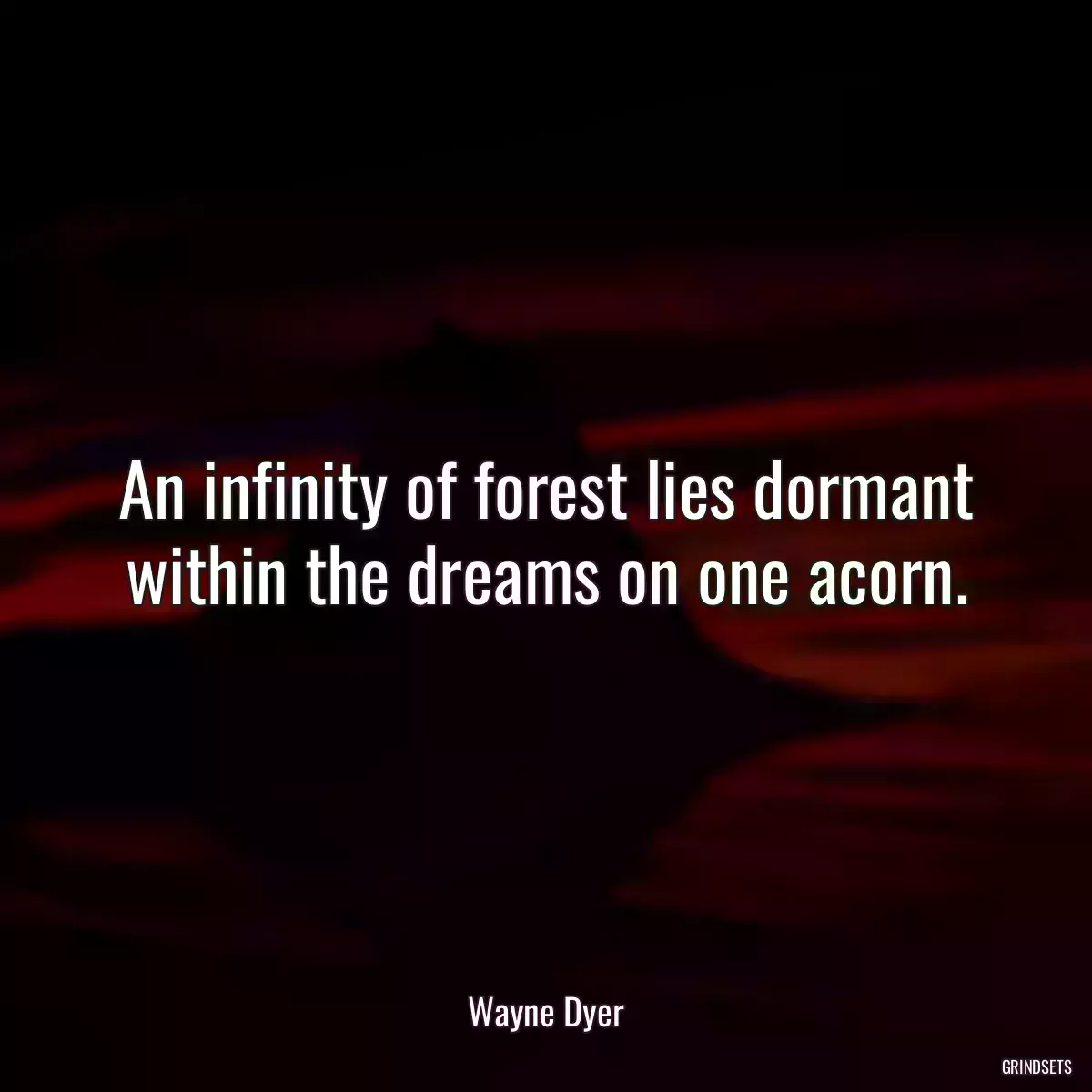 An infinity of forest lies dormant within the dreams on one acorn.