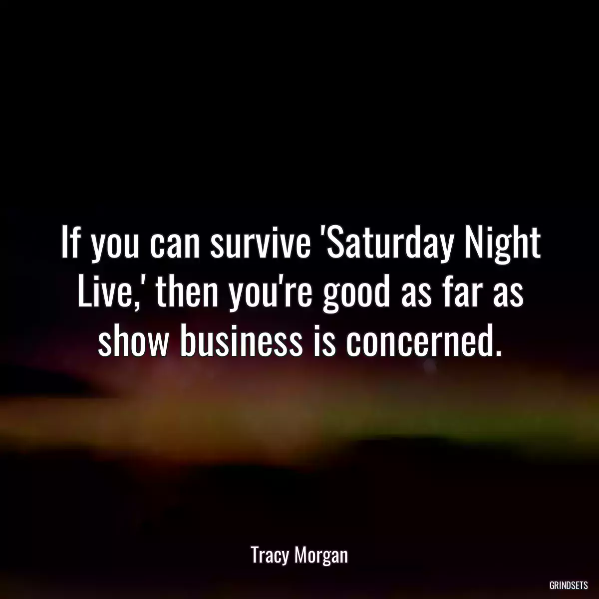 If you can survive \'Saturday Night Live,\' then you\'re good as far as show business is concerned.