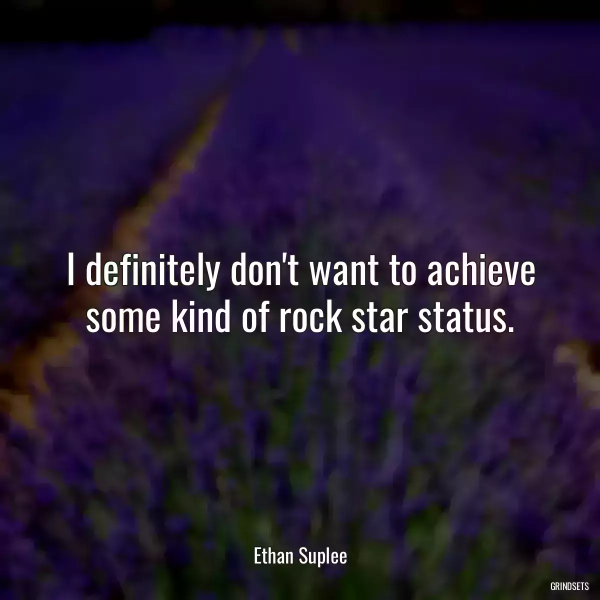 I definitely don\'t want to achieve some kind of rock star status.