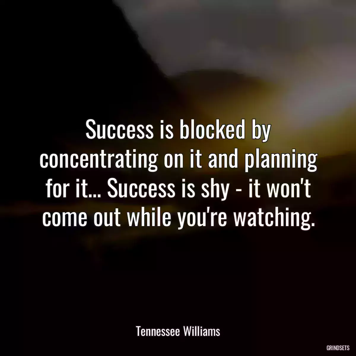 Success is blocked by concentrating on it and planning for it... Success is shy - it won\'t come out while you\'re watching.