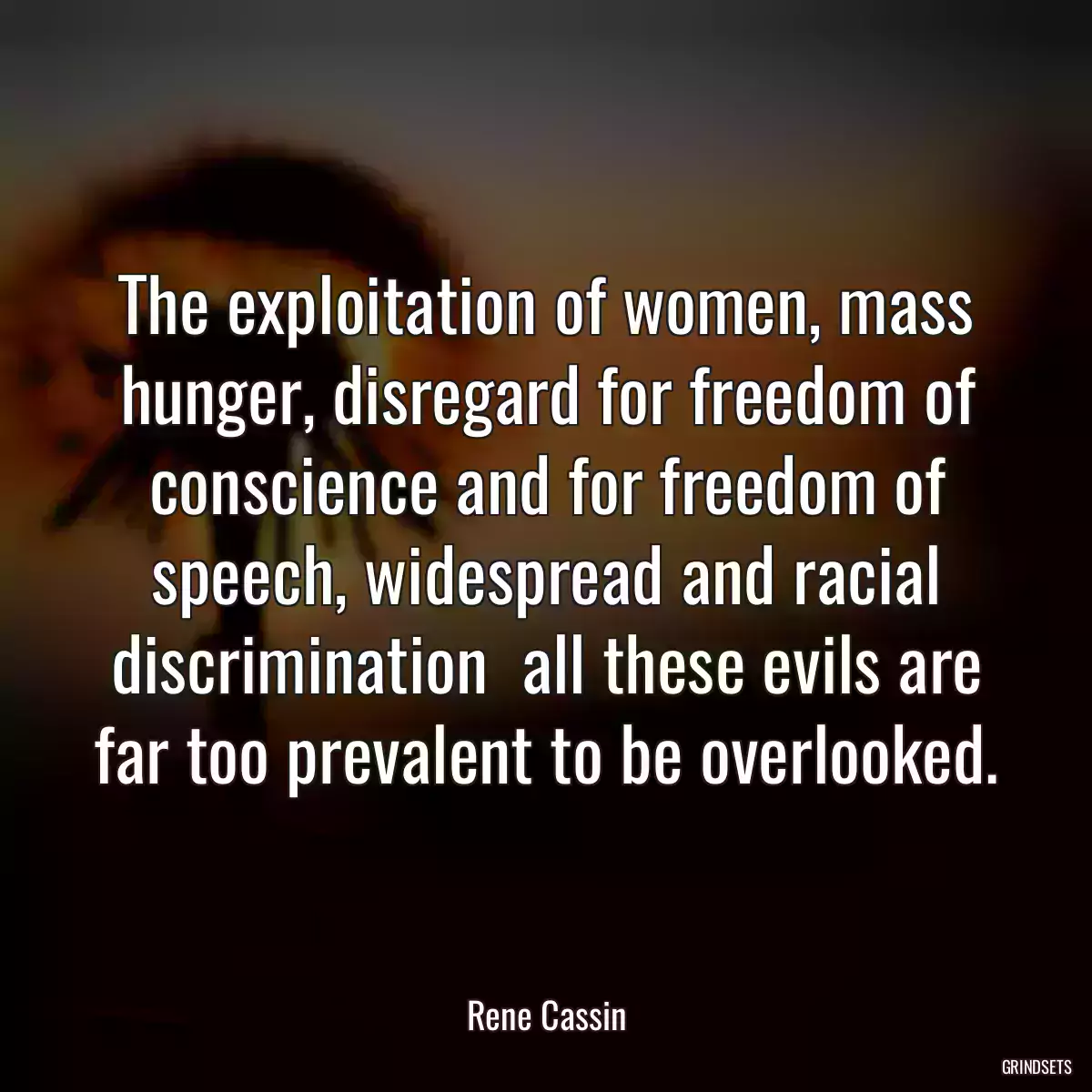 The exploitation of women, mass hunger, disregard for freedom of conscience and for freedom of speech, widespread and racial discrimination  all these evils are far too prevalent to be overlooked.