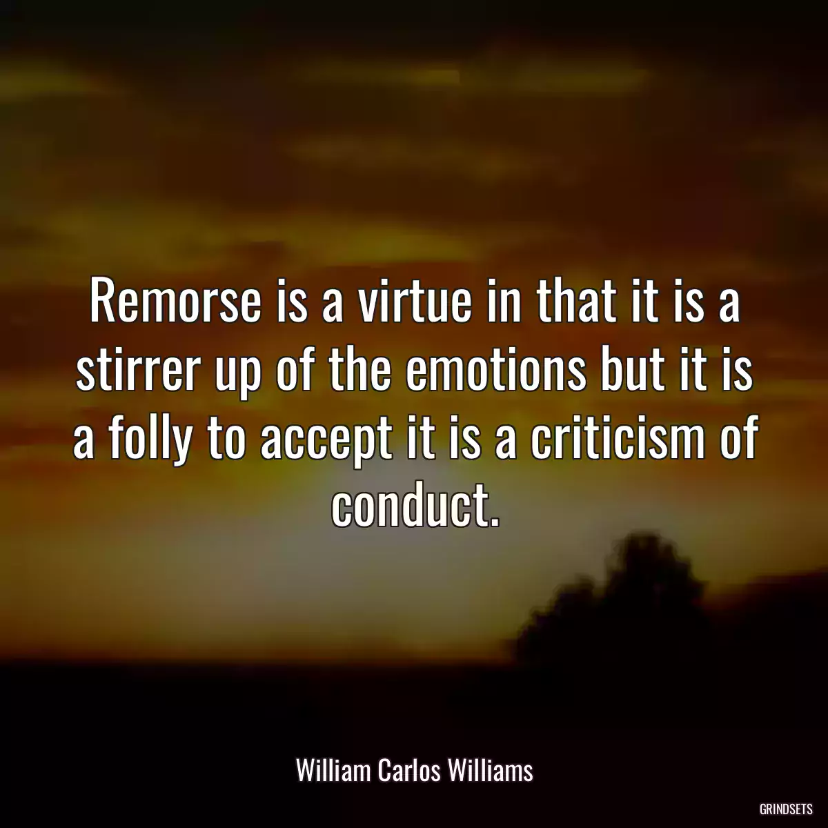 Remorse is a virtue in that it is a stirrer up of the emotions but it is a folly to accept it is a criticism of conduct.