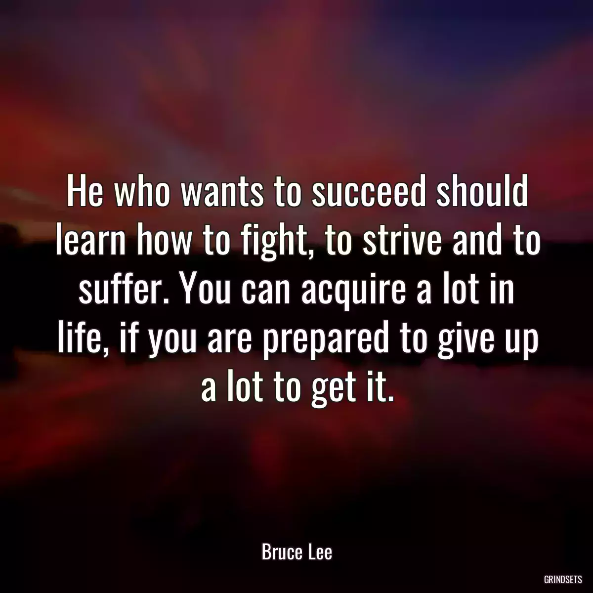 He who wants to succeed should learn how to fight, to strive and to suffer. You can acquire a lot in life, if you are prepared to give up a lot to get it.