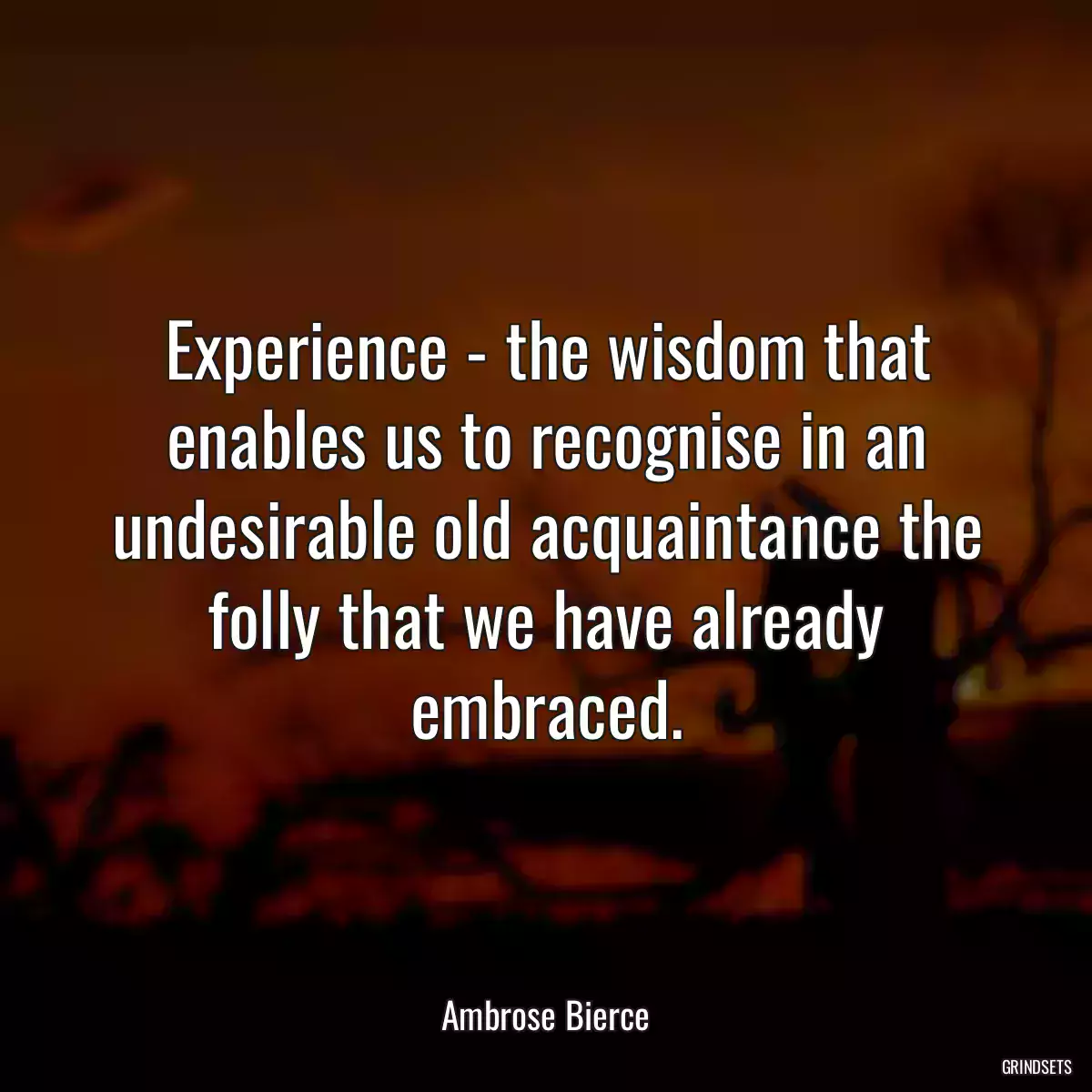 Experience - the wisdom that enables us to recognise in an undesirable old acquaintance the folly that we have already embraced.