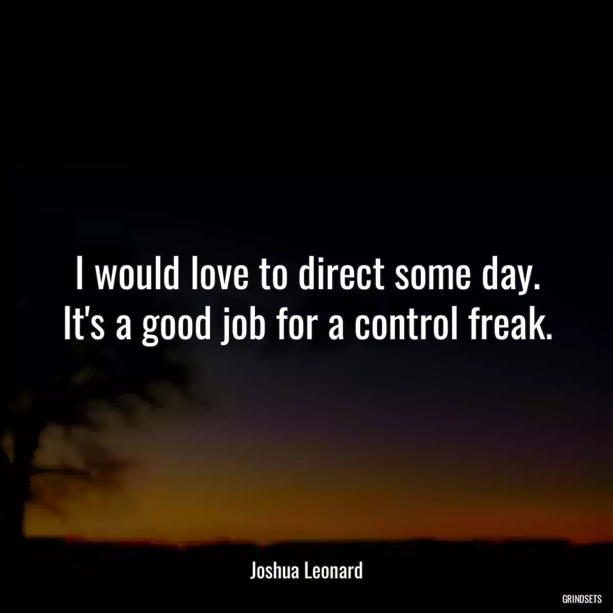 I would love to direct some day. It\'s a good job for a control freak.