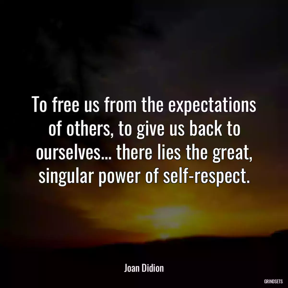 To free us from the expectations of others, to give us back to ourselves... there lies the great, singular power of self-respect.