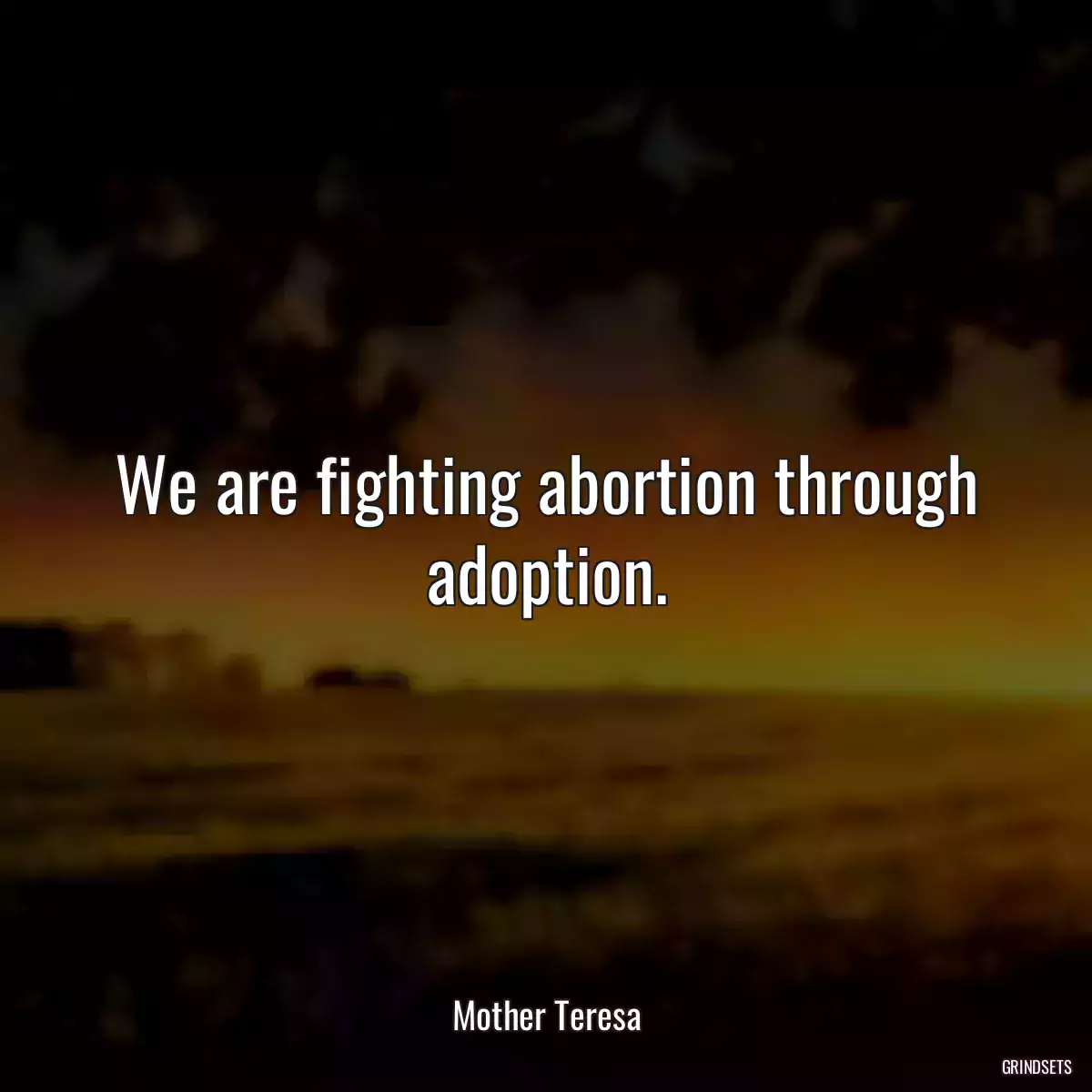 We are fighting abortion through adoption.