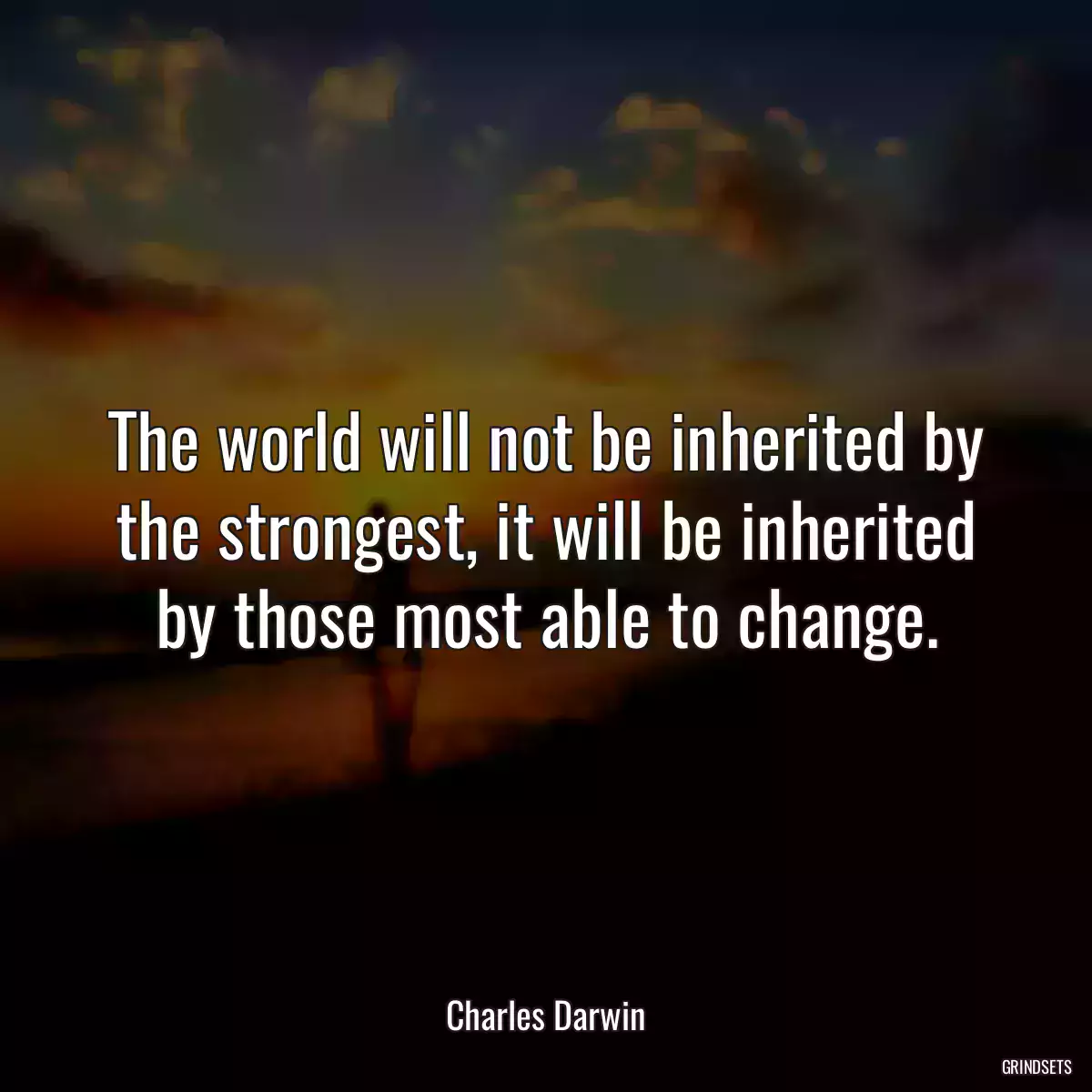 The world will not be inherited by the strongest, it will be inherited by those most able to change.