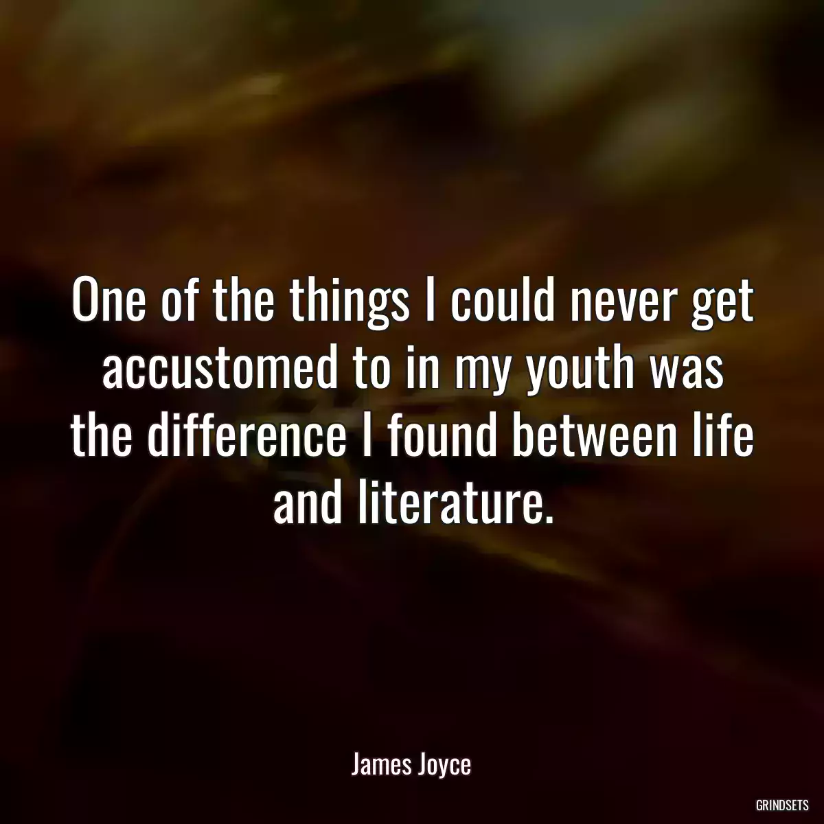 One of the things I could never get accustomed to in my youth was the difference I found between life and literature.