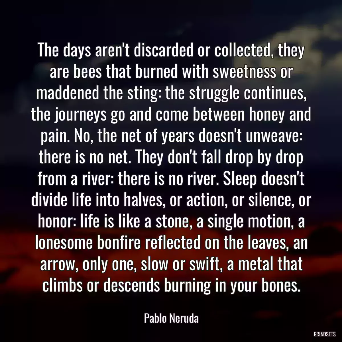 The days aren\'t discarded or collected, they are bees that burned with sweetness or maddened the sting: the struggle continues, the journeys go and come between honey and pain. No, the net of years doesn\'t unweave: there is no net. They don\'t fall drop by drop from a river: there is no river. Sleep doesn\'t divide life into halves, or action, or silence, or honor: life is like a stone, a single motion, a lonesome bonfire reflected on the leaves, an arrow, only one, slow or swift, a metal that climbs or descends burning in your bones.