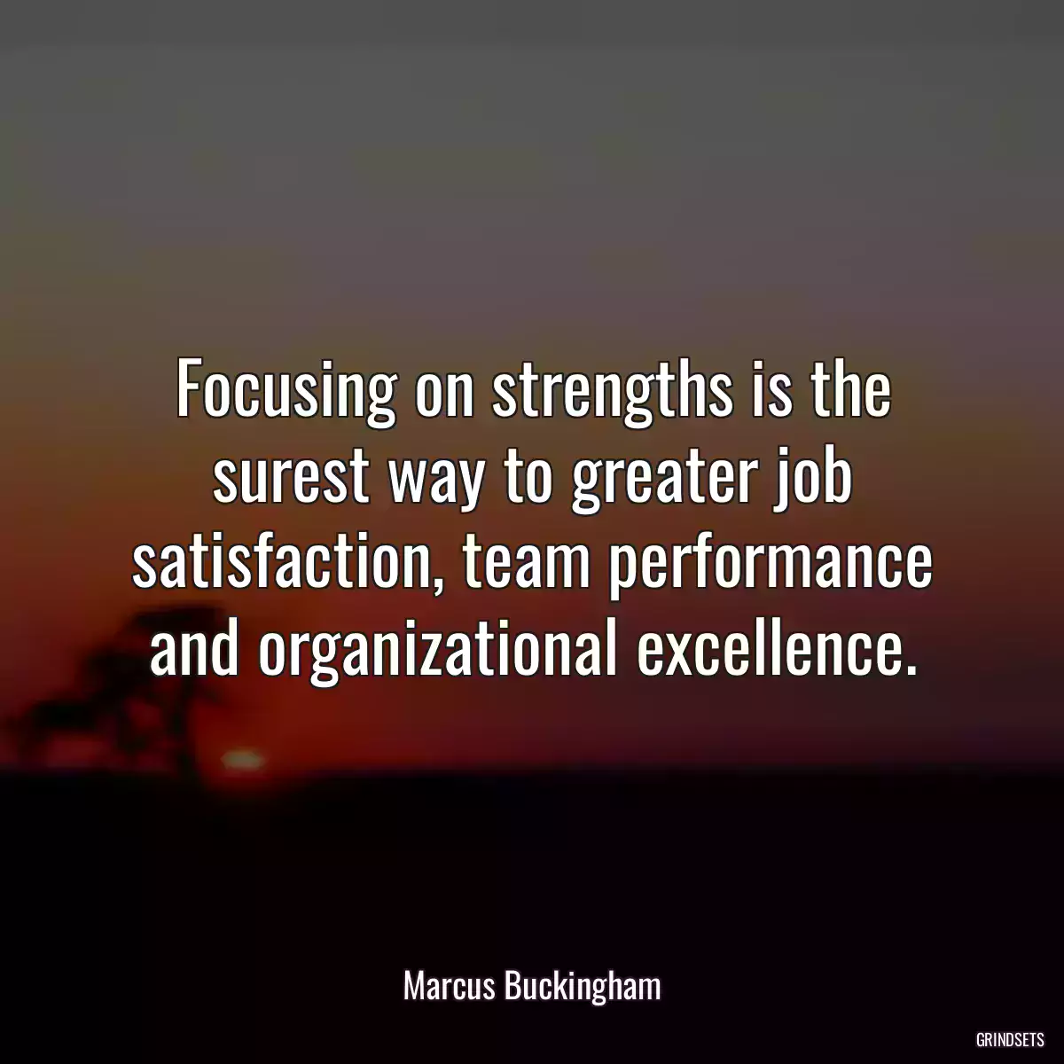 Focusing on strengths is the surest way to greater job satisfaction, team performance and organizational excellence.