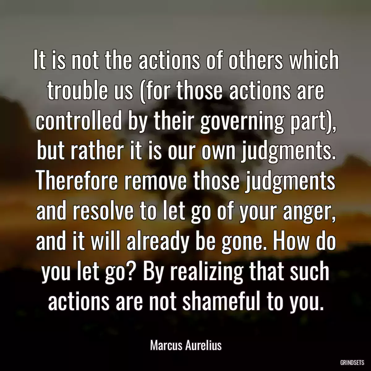 It is not the actions of others which trouble us (for those actions are controlled by their governing part), but rather it is our own judgments. Therefore remove those judgments and resolve to let go of your anger, and it will already be gone. How do you let go? By realizing that such actions are not shameful to you.