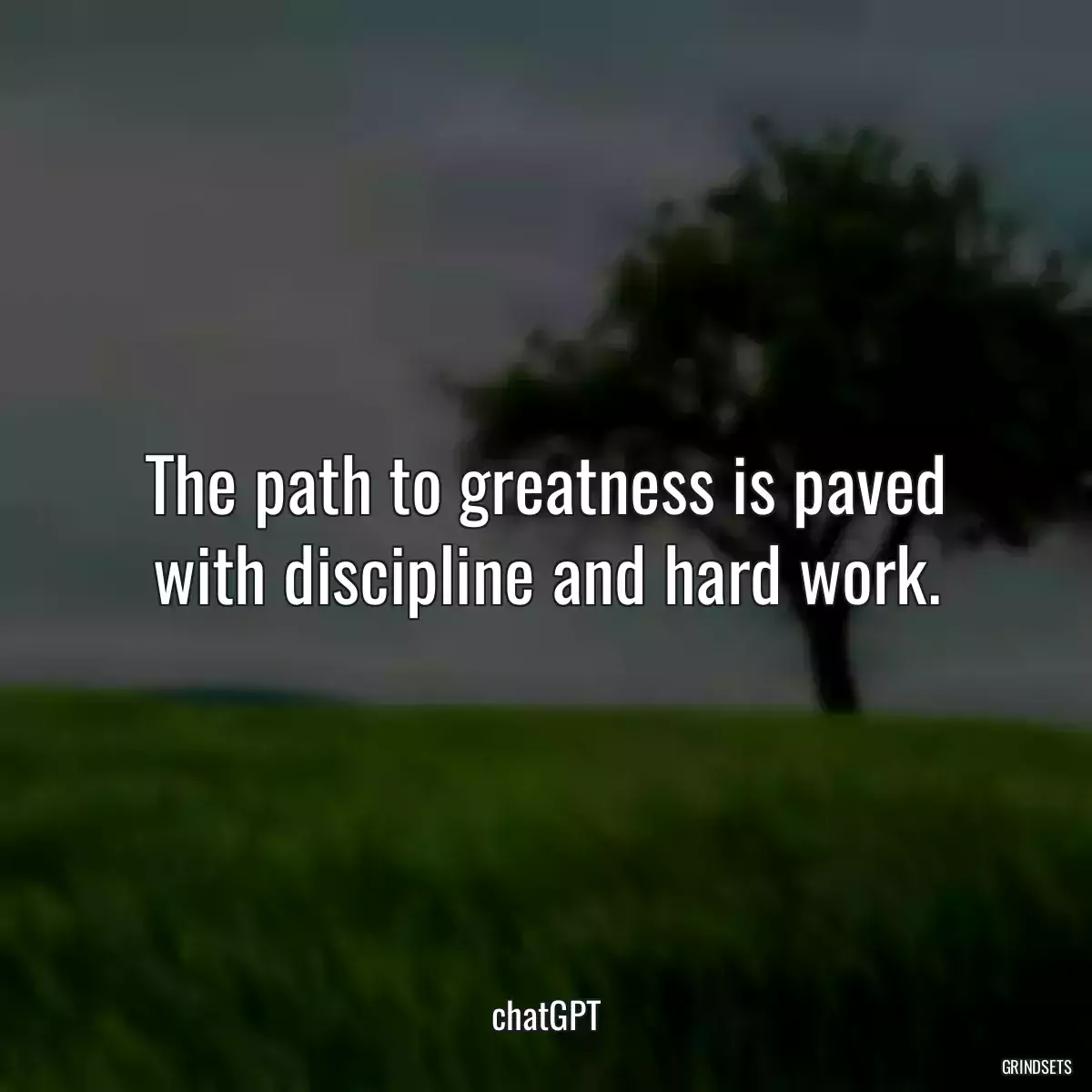 The path to greatness is paved with discipline and hard work.