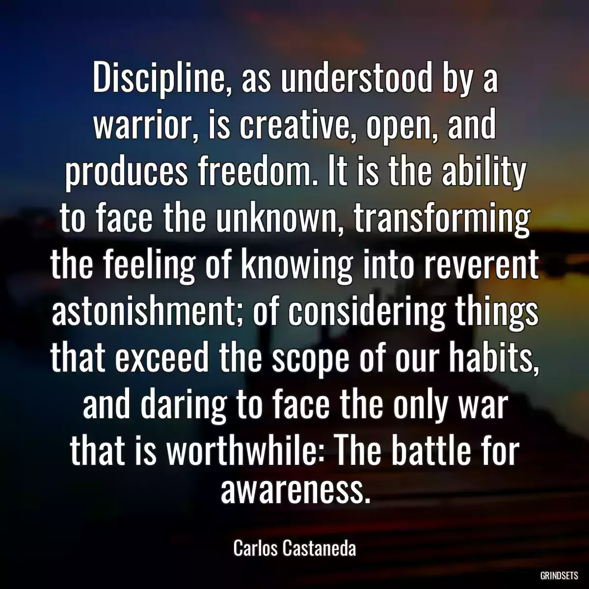 Discipline, as understood by a warrior, is creative, open, and produces freedom. It is the ability to face the unknown, transforming the feeling of knowing into reverent astonishment; of considering things that exceed the scope of our habits, and daring to face the only war that is worthwhile: The battle for awareness.