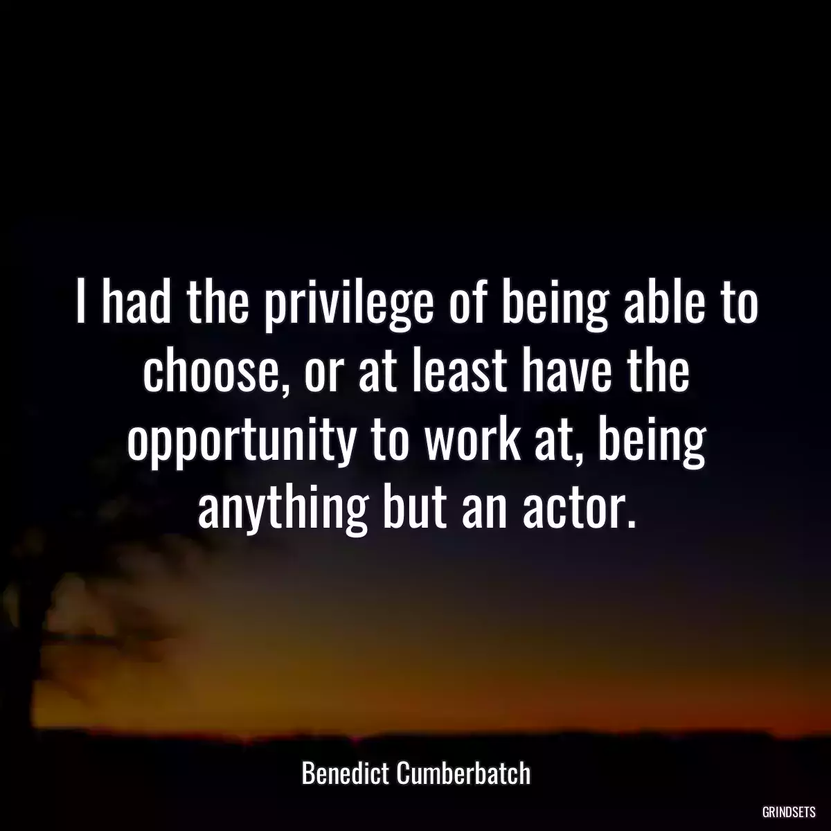 I had the privilege of being able to choose, or at least have the opportunity to work at, being anything but an actor.