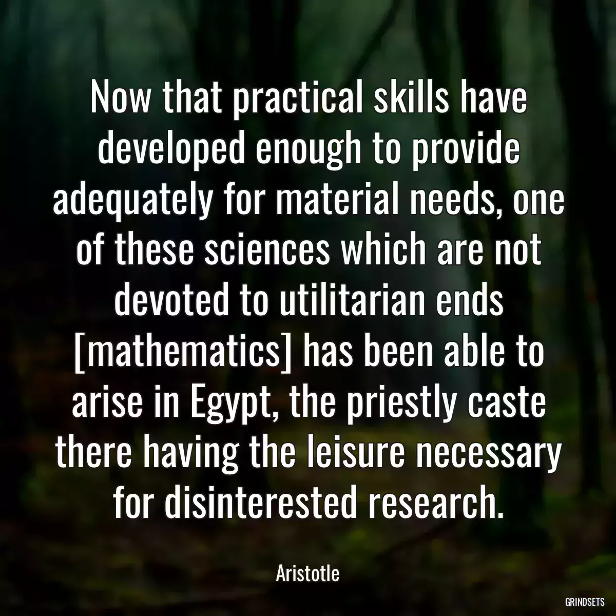 Now that practical skills have developed enough to provide adequately for material needs, one of these sciences which are not devoted to utilitarian ends [mathematics] has been able to arise in Egypt, the priestly caste there having the leisure necessary for disinterested research.