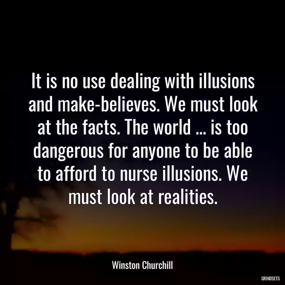 It is no use dealing with illusions and make-believes. We must look at the facts. The world ... is too dangerous for anyone to be able to afford to nurse illusions. We must look at realities.