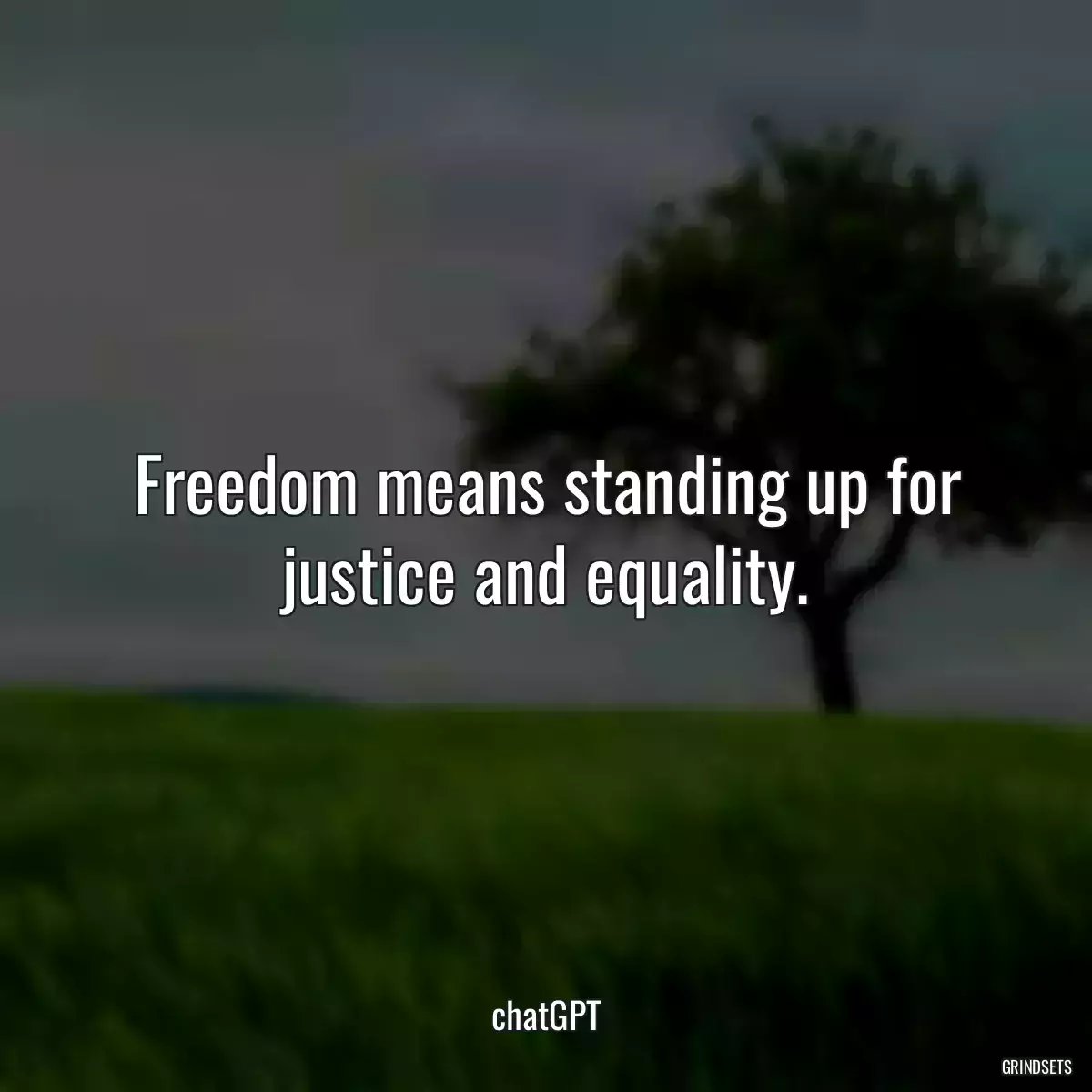 Freedom means standing up for justice and equality.