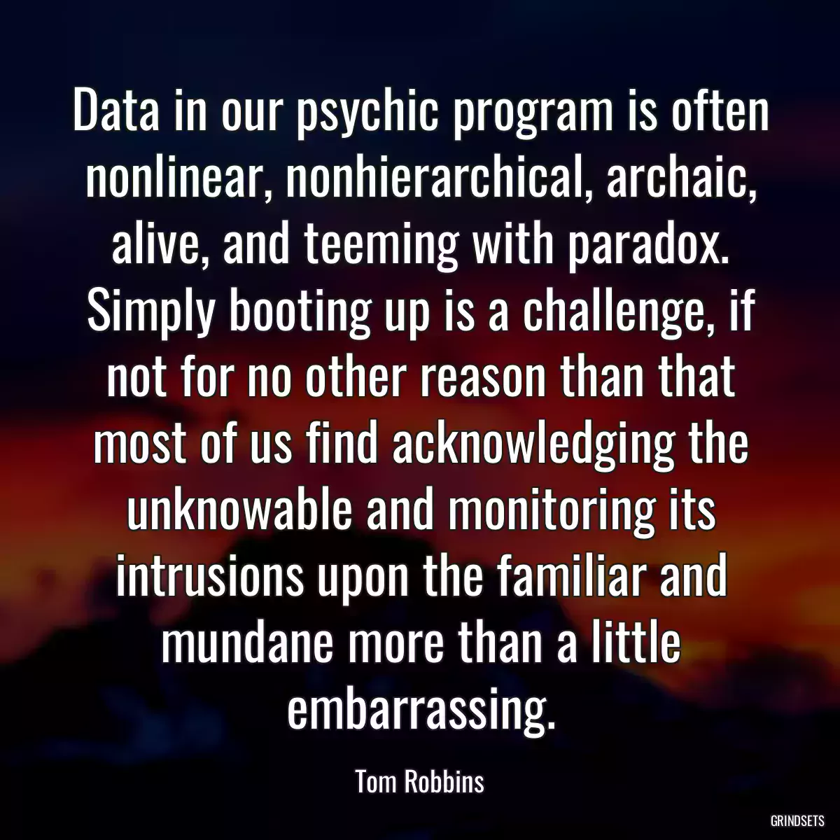 Data in our psychic program is often nonlinear, nonhierarchical, archaic, alive, and teeming with paradox. Simply booting up is a challenge, if not for no other reason than that most of us find acknowledging the unknowable and monitoring its intrusions upon the familiar and mundane more than a little embarrassing.