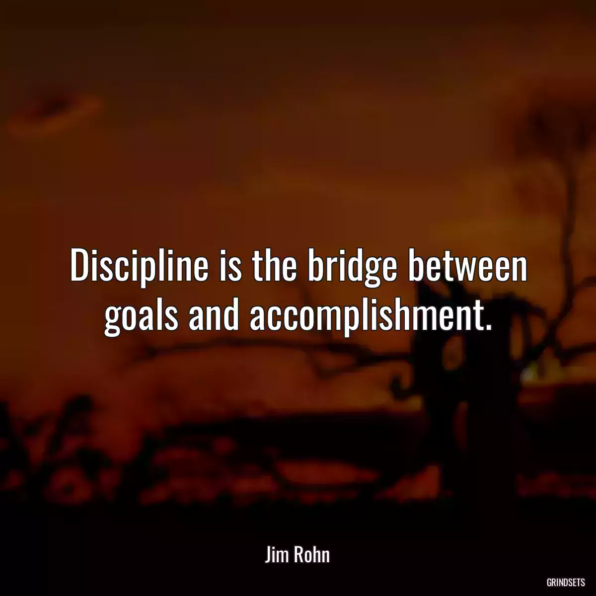 Discipline is the bridge between goals and accomplishment.