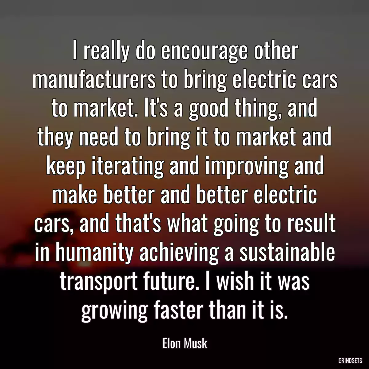 I really do encourage other manufacturers to bring electric cars to market. It\'s a good thing, and they need to bring it to market and keep iterating and improving and make better and better electric cars, and that\'s what going to result in humanity achieving a sustainable transport future. I wish it was growing faster than it is.