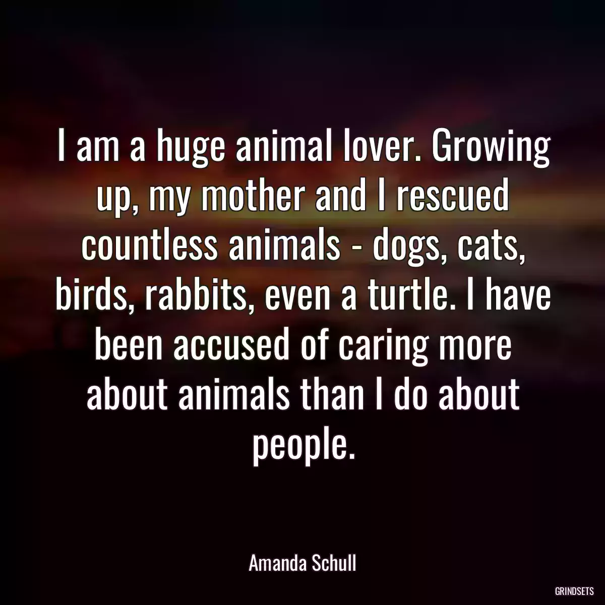 I am a huge animal lover. Growing up, my mother and I rescued countless animals - dogs, cats, birds, rabbits, even a turtle. I have been accused of caring more about animals than I do about people.