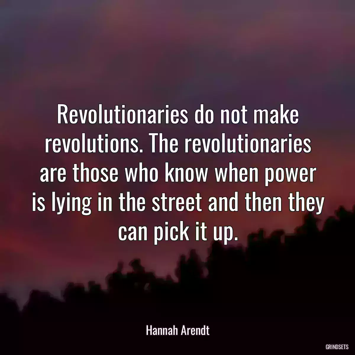 Revolutionaries do not make revolutions. The revolutionaries are those who know when power is lying in the street and then they can pick it up.