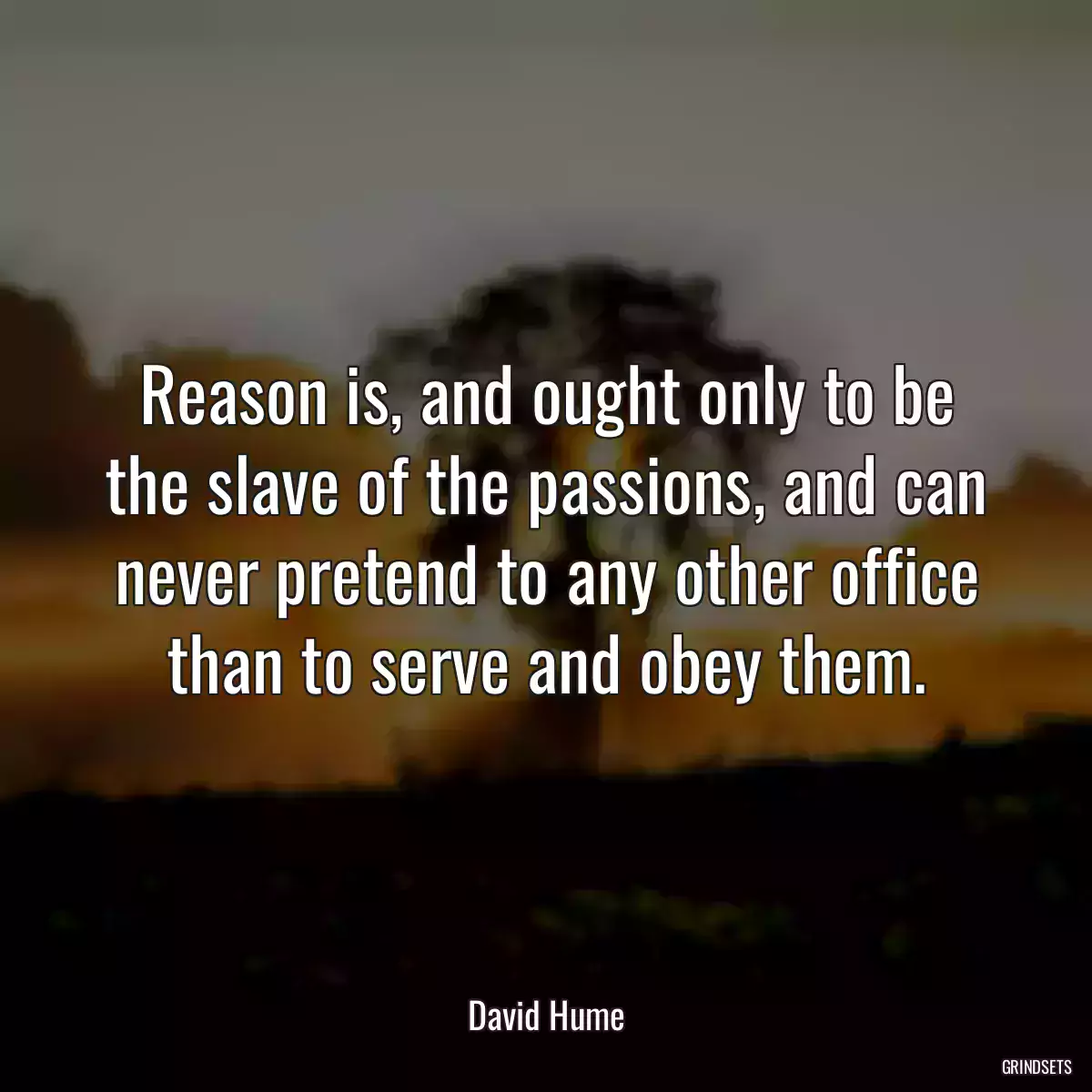 Reason is, and ought only to be the slave of the passions, and can never pretend to any other office than to serve and obey them.