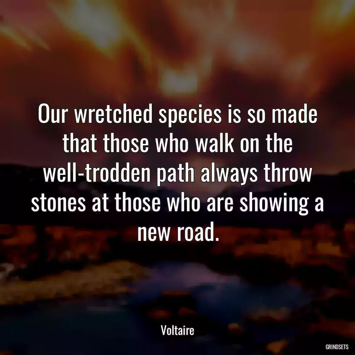 Our wretched species is so made that those who walk on the well-trodden path always throw stones at those who are showing a new road.