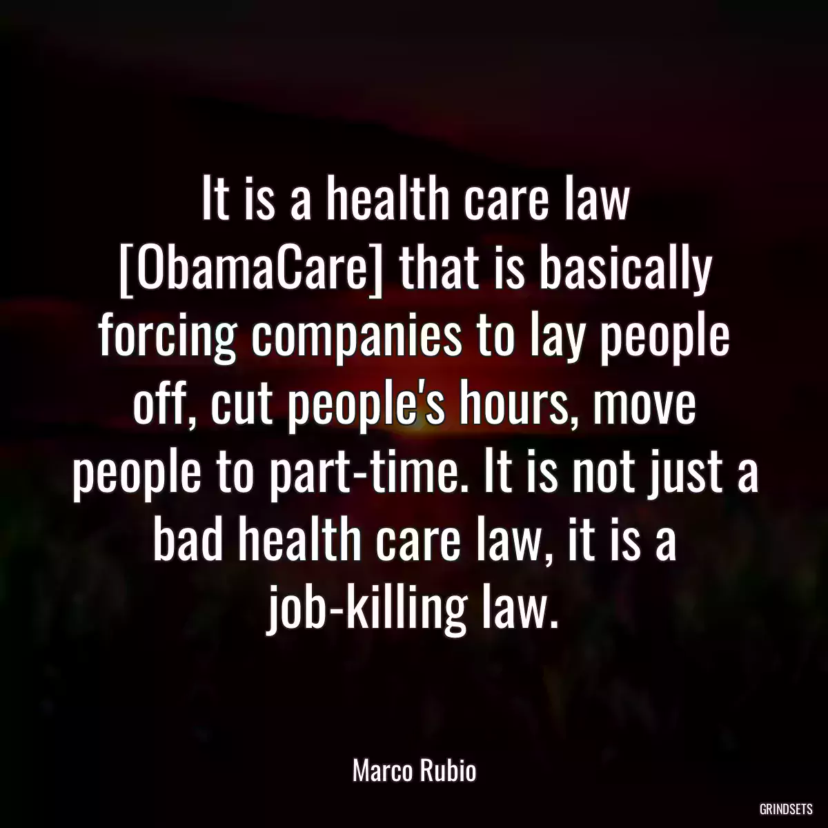 It is a health care law [ObamaCare] that is basically forcing companies to lay people off, cut people\'s hours, move people to part-time. It is not just a bad health care law, it is a job-killing law.