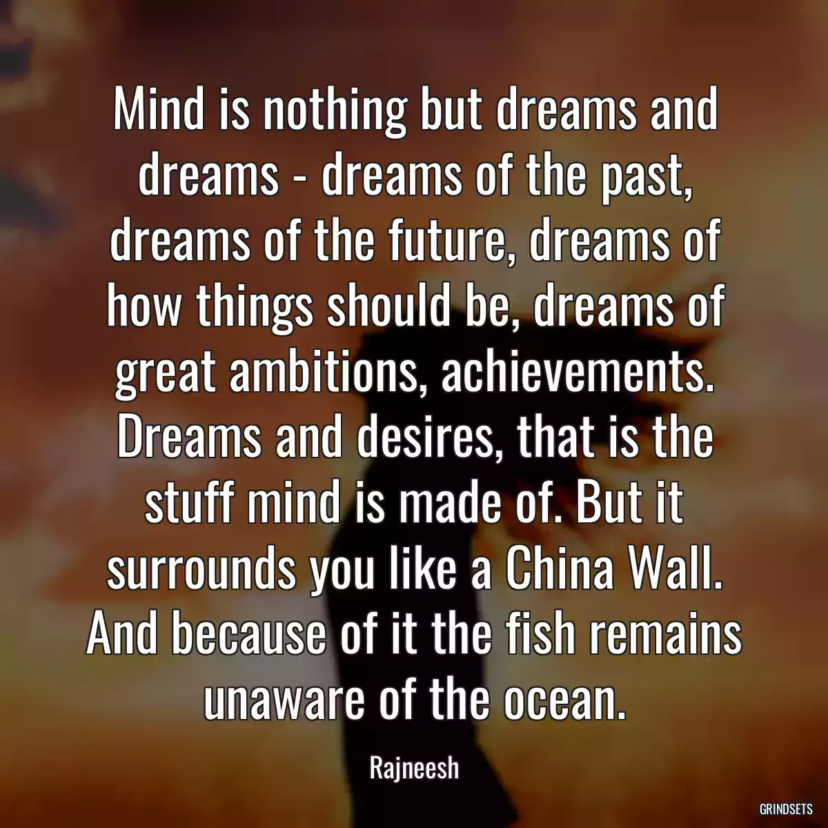 Mind is nothing but dreams and dreams - dreams of the past, dreams of the future, dreams of how things should be, dreams of great ambitions, achievements. Dreams and desires, that is the stuff mind is made of. But it surrounds you like a China Wall. And because of it the fish remains unaware of the ocean.