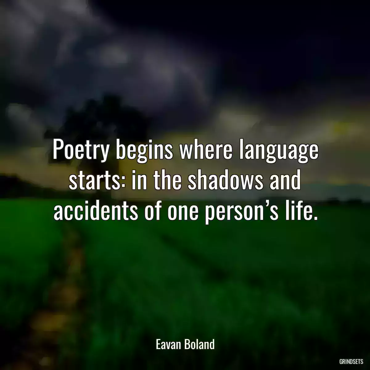 Poetry begins where language starts: in the shadows and accidents of one person’s life.