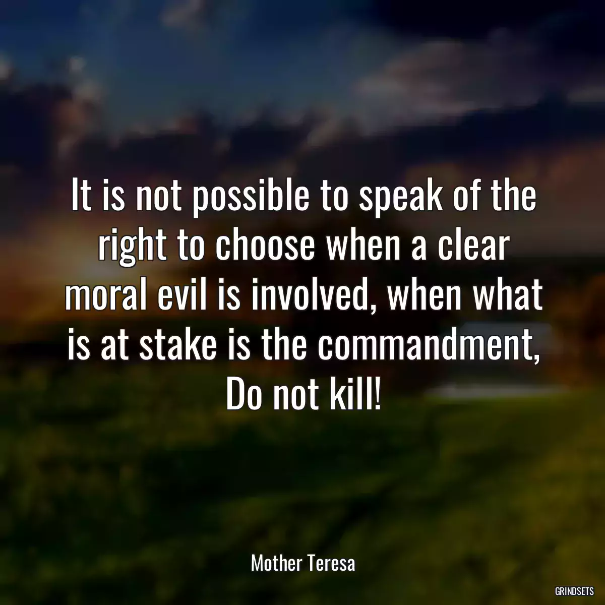 It is not possible to speak of the right to choose when a clear moral evil is involved, when what is at stake is the commandment, Do not kill!