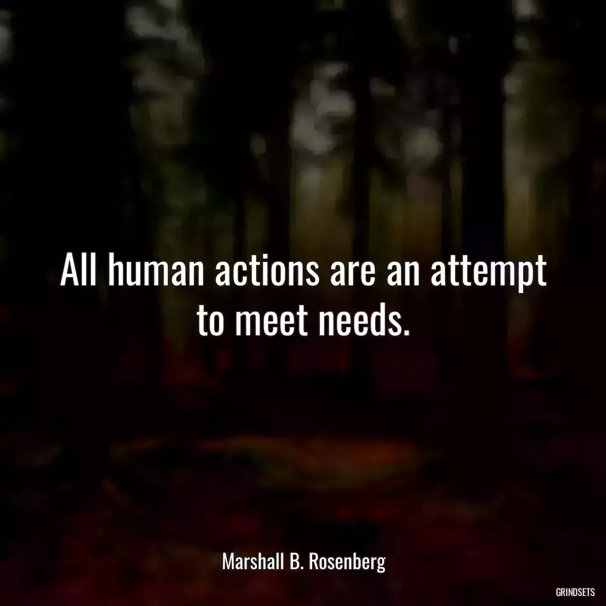 All human actions are an attempt to meet needs.