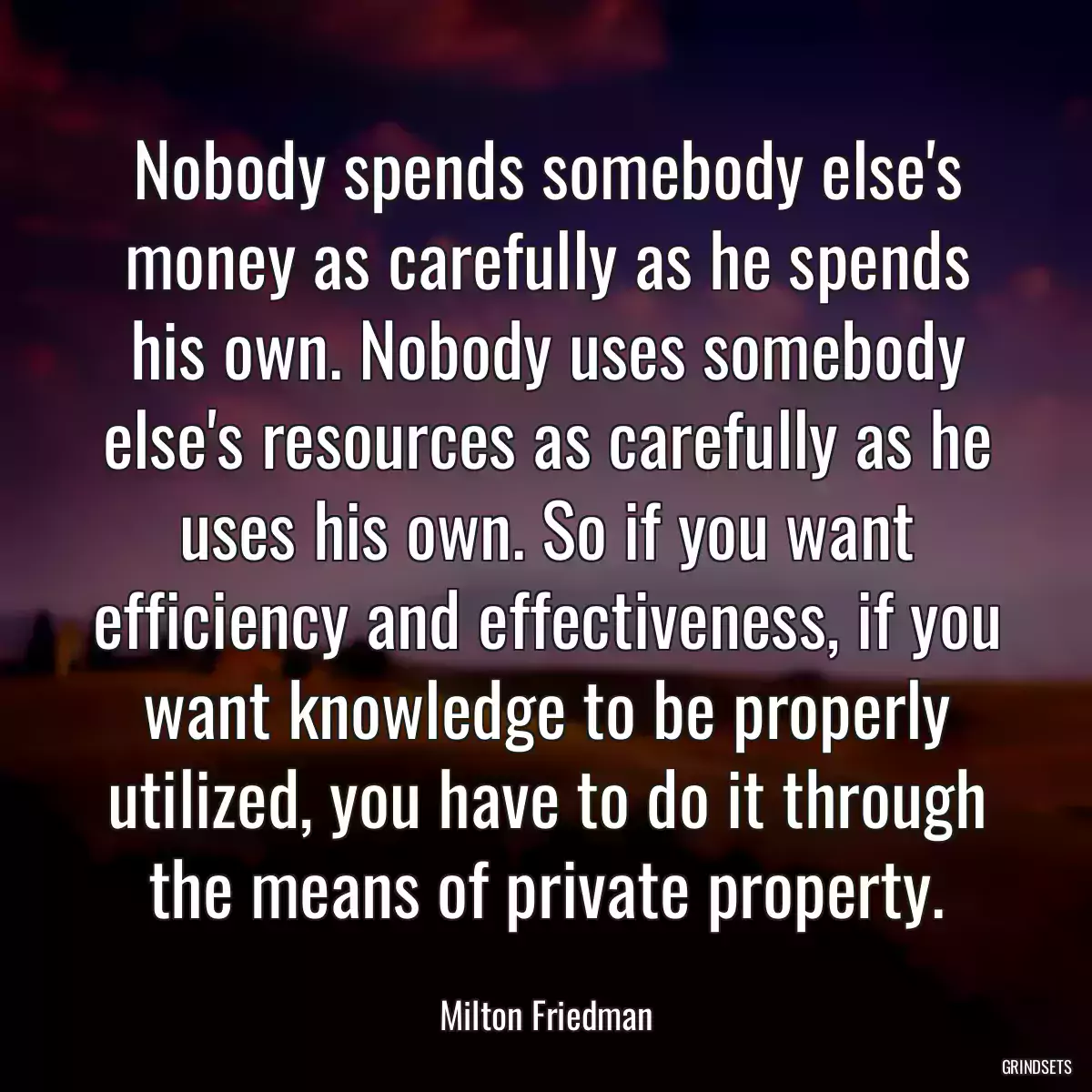 Nobody spends somebody else\'s money as carefully as he spends his own. Nobody uses somebody else\'s resources as carefully as he uses his own. So if you want efficiency and effectiveness, if you want knowledge to be properly utilized, you have to do it through the means of private property.