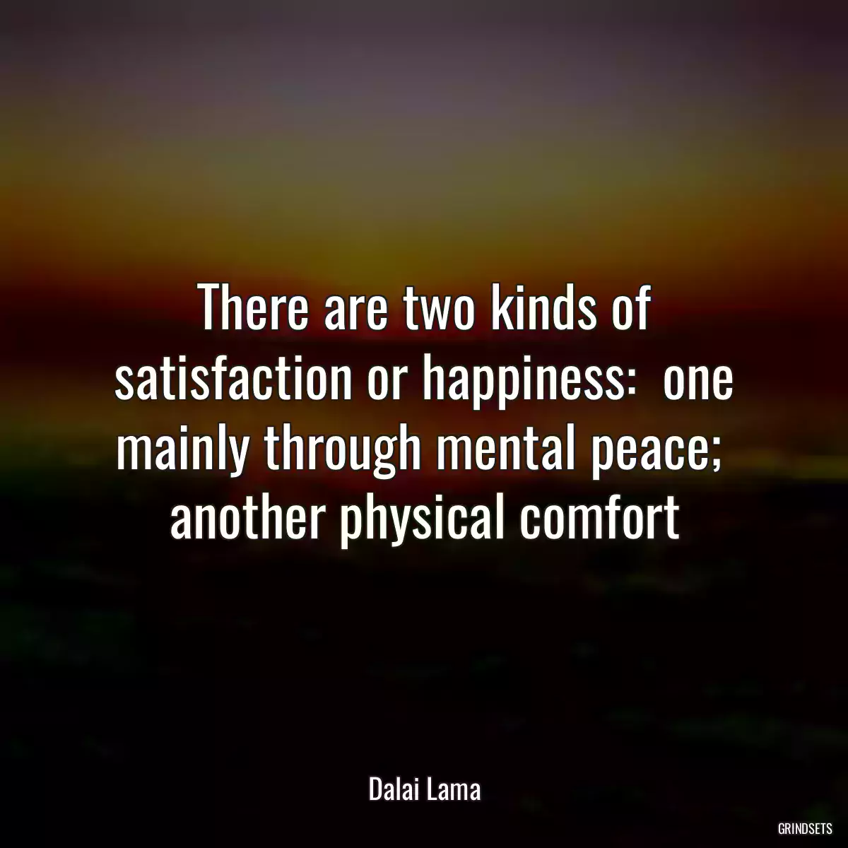 There are two kinds of satisfaction or happiness:  one mainly through mental peace;  another physical comfort