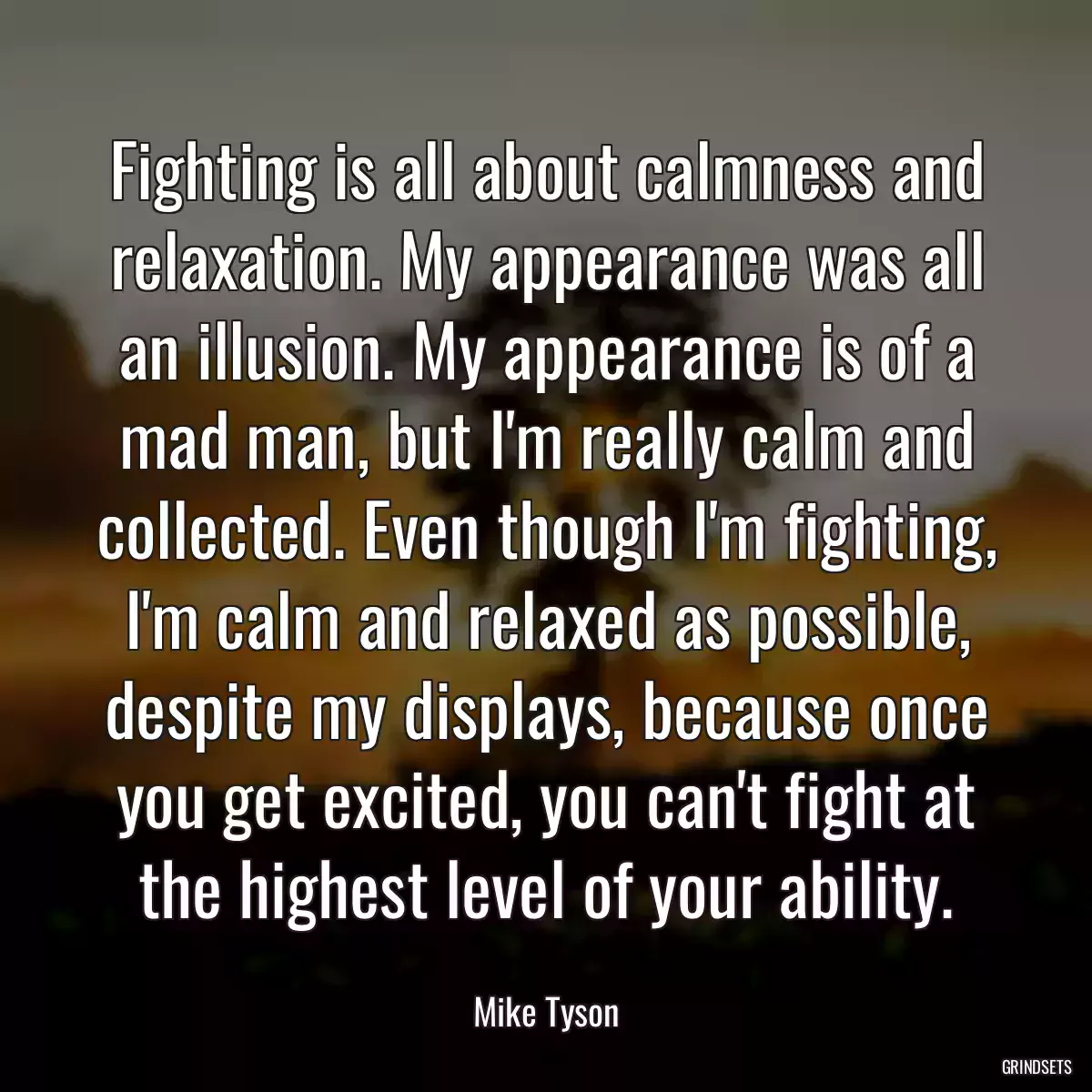 Fighting is all about calmness and relaxation. My appearance was all an illusion. My appearance is of a mad man, but I\'m really calm and collected. Even though I\'m fighting, I\'m calm and relaxed as possible, despite my displays, because once you get excited, you can\'t fight at the highest level of your ability.