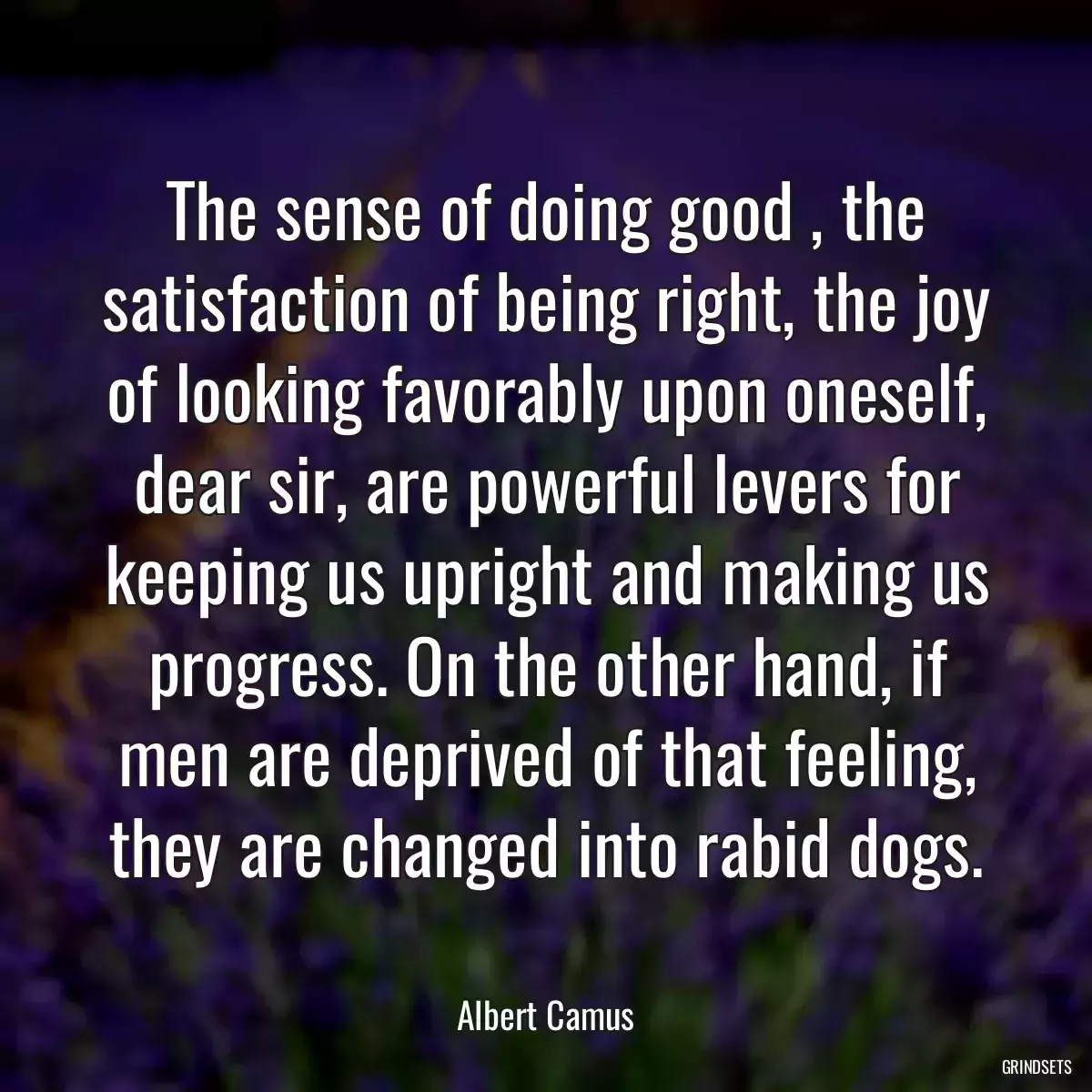 The sense of doing good , the satisfaction of being right, the joy of looking favorably upon oneself, dear sir, are powerful levers for keeping us upright and making us progress. On the other hand, if men are deprived of that feeling, they are changed into rabid dogs.