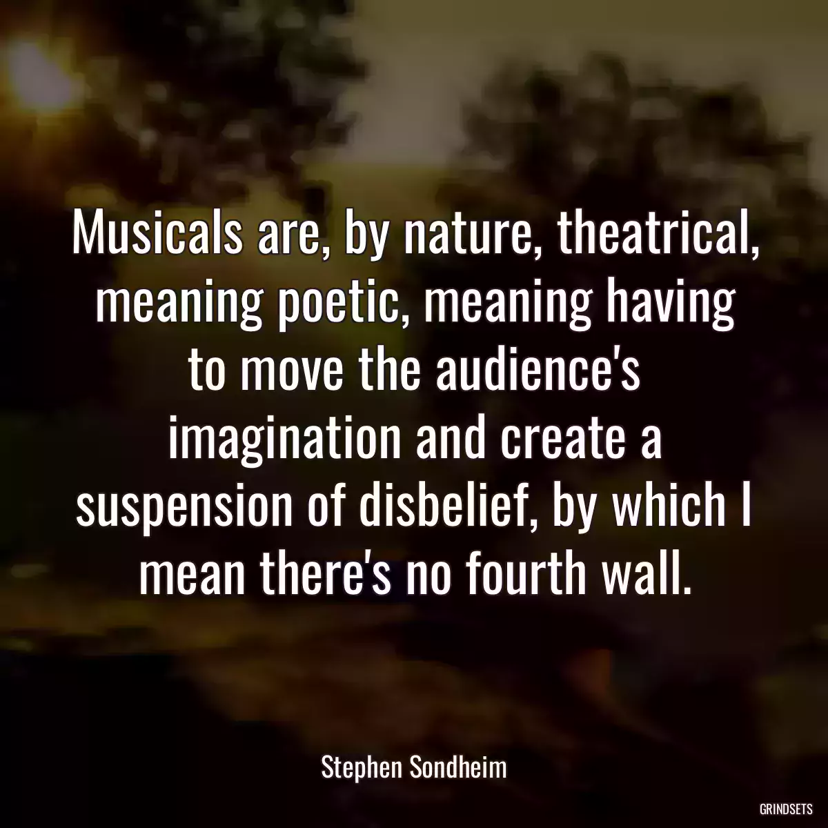 Musicals are, by nature, theatrical, meaning poetic, meaning having to move the audience\'s imagination and create a suspension of disbelief, by which I mean there\'s no fourth wall.